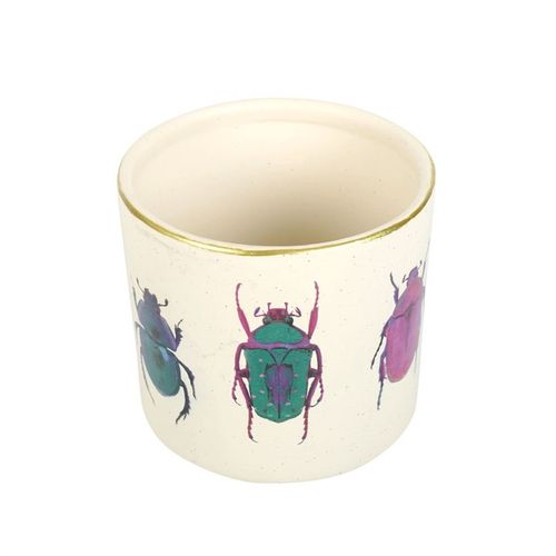 Off White Beetle Plant Pot